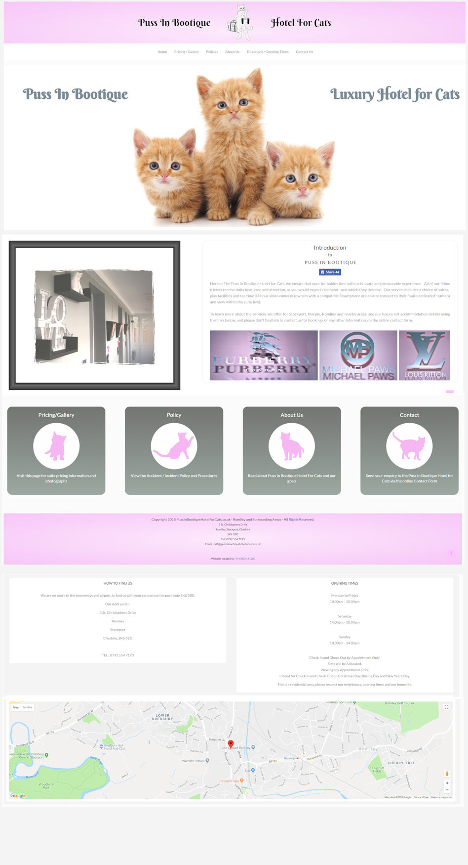 Hotel for Cats website design