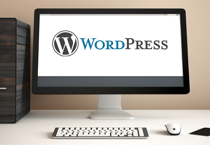 What is Wordpress software?
